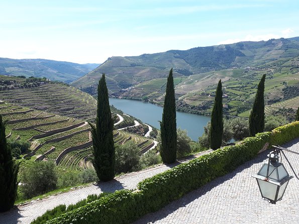 Douro Valley Tour (wine & Food) - Stop 3: DOrigem olive oil press museum and tastings