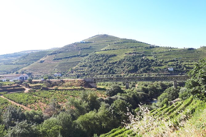 Douro Valley Tour (wine & Food) - Lunch, wine tastings, and how the day actually feels