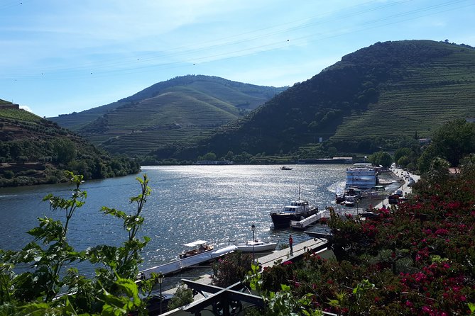 Douro Valley Tour (wine & Food) - Price and value: is $1,192.07 per group a good deal?