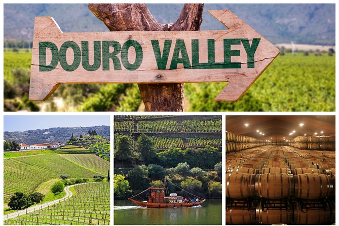 Douro Valley Tour: Wine Tasting, Cruise and Lunch from Porto - Key highlights to look for