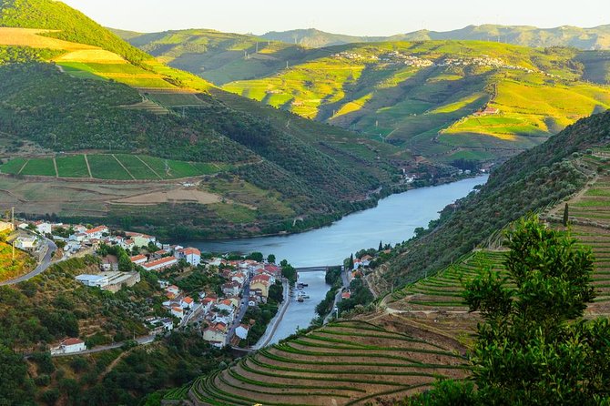 Douro Valley Tour: Wine Tasting, Cruise and Lunch from Porto - Lunch in the Douro region: fish, meat, or vegetarian, done simply