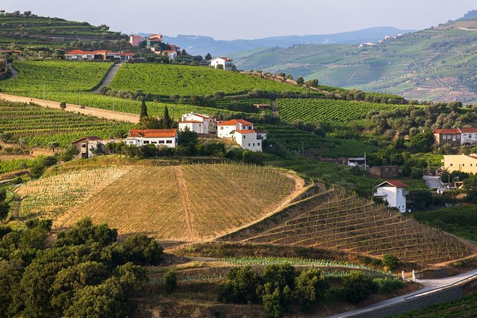 Douro Valley Tour: Wine Tasting, Cruise and Lunch from Porto - Group size, WiFi, and guide energy: what makes the day feel easy