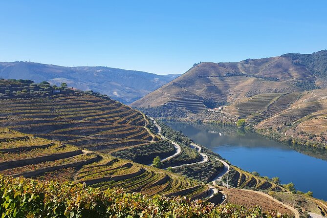 Douro Valley Tour: Wine Tasting River Cruise and Lunch from Porto - The Douro Valley drive: the scenery is the curriculum