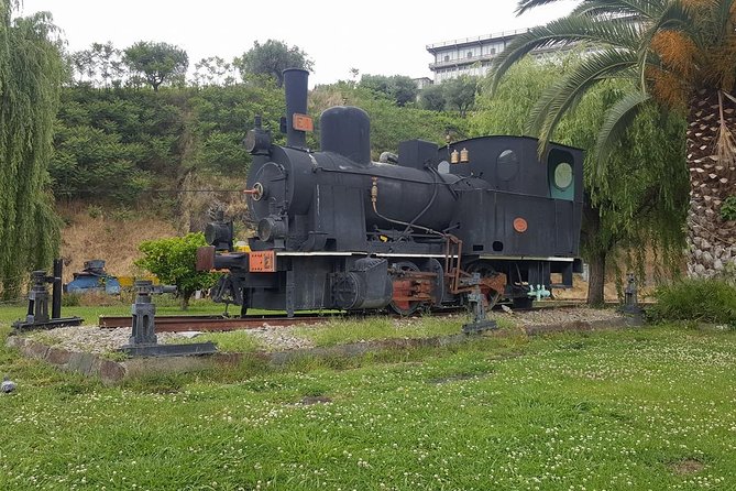 Douro Valley Tour: Wine Tasting River Cruise and Lunch from Porto - Comfort, group size, and the “van reality” from Porto