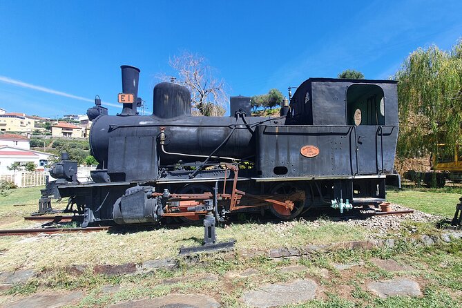 Douro Valley Tour with Train and Vinho Verde - Key points to know before you go