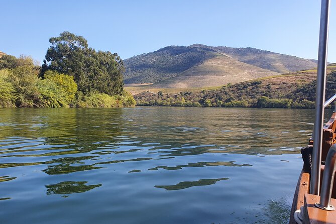 Douro Valley Tour with Train and Vinho Verde - Price and logistics, what $158.46 really covers