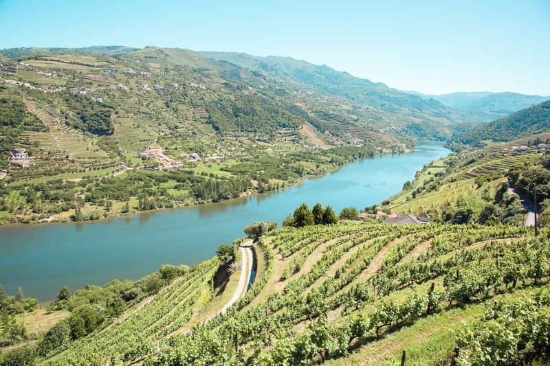 Douro Valley: Tour with Wine Tastings, Lunch, and Boat Ride - Key highlights worth circling