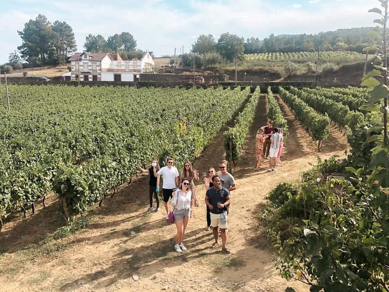 Douro Valley: Tour with Wine Tastings, Lunch, and Boat Ride - From Porto to Pinhão, you’ll feel the Douro in one day