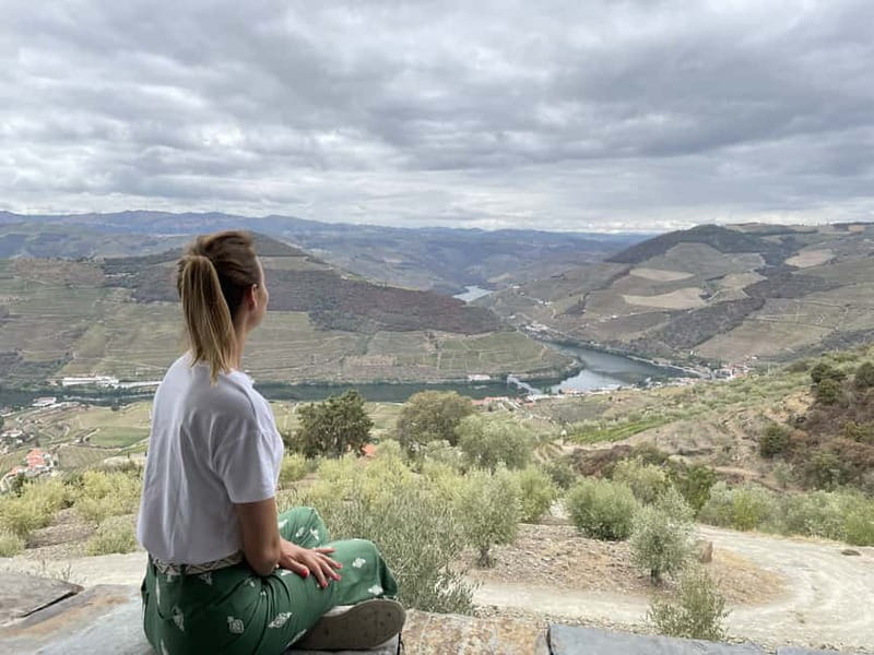 Douro Valley: Tour with Wine Tastings, Lunch, and Boat Ride - Timing, roads, and comfort: the part you should plan for