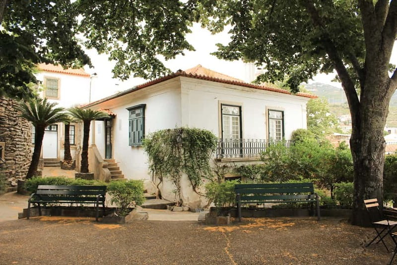 Douro Valley: Tour with Wine Tastings, Lunch, and Boat Ride - Wine value at $169: what you’re really paying for