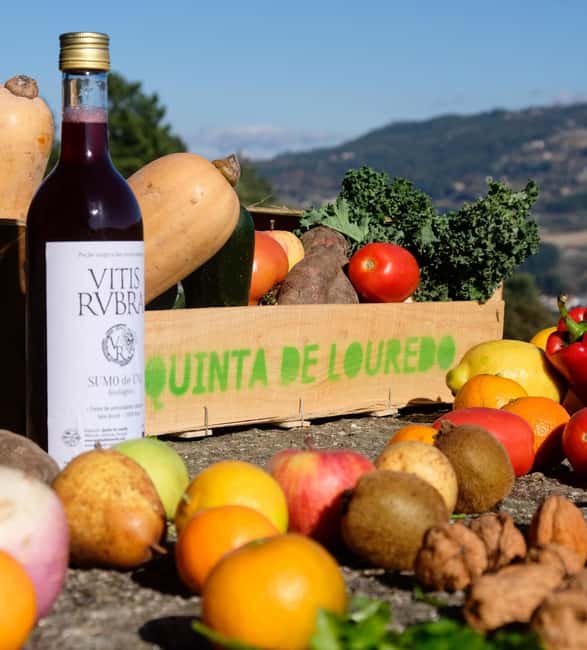 Douro Valley: Traditional Cooking Class, Farm Tour and Lunch - What You Do in 4 Hours (And Why It Feels Like Real Portugal)