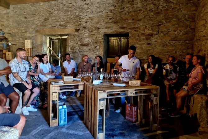 Douro Valley Vineyard Visits Wine Tasting Boat Ride and Lunch - From Trindade in Porto, straight into Douro rhythm