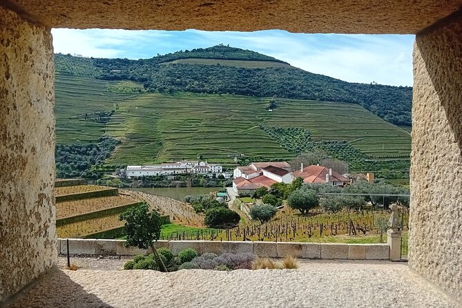 Douro Valley Vineyard Visits Wine Tasting Boat Ride and Lunch - Sabrosa lunch at an estate, with wine tasting included