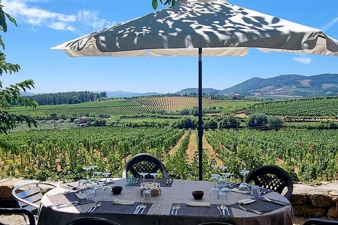 Douro Valley Vineyard Visits Wine Tasting Boat Ride and Lunch - Logistics that help: pickup, group size, and comfort