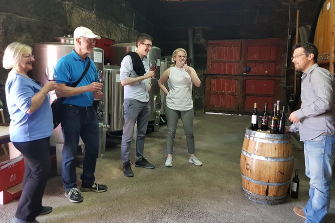 Douro Valley Wine Tour: 3 Vineyard Visits, Wine Tastings, Lunch - Comfort, group size, and the role of your guide