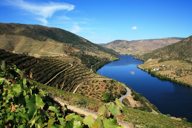 Douro Valley Wine Tour: 3 Vineyard Visits, Wine Tastings, Lunch - Stop 1 in Lamego: family vineyard views and a guided tasting