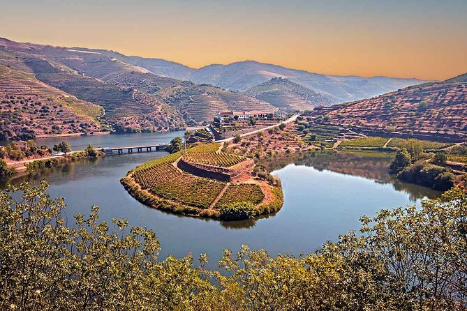 Douro Valley Wine Tour Private Group, 1h Cruise, Lunch from Porto - The 50-Minute Douro River Cruise: Views Without the Hiking Tax