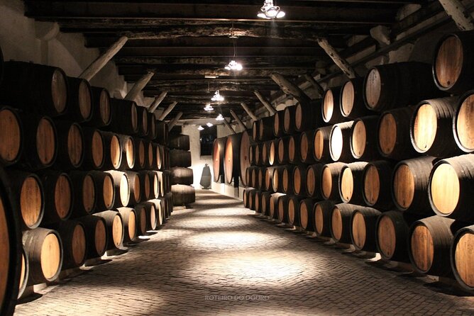 Douro Valley Wine Tour Private Group, 1h Cruise, Lunch from Porto - Price and Value: What You Pay For, and Why It Adds Up