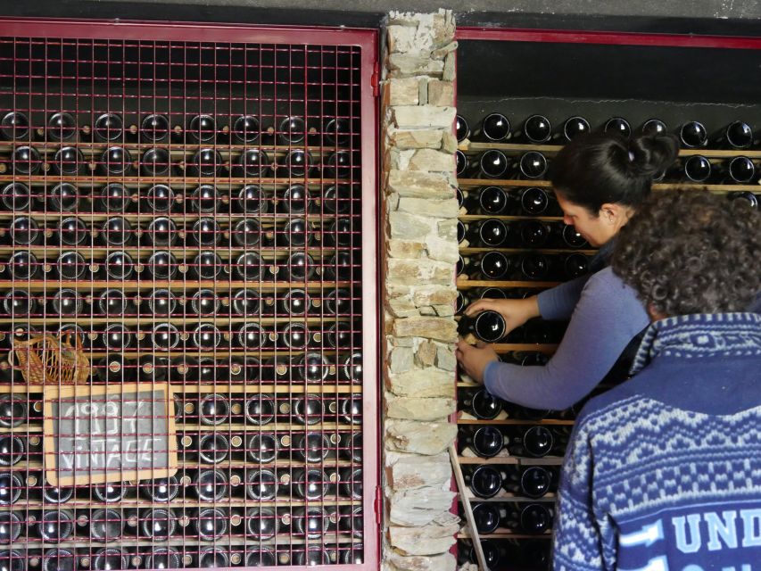 Douro Valley: Winery Tour at Quinta do Tedo and Tastings - Who Should Book This Tour (And Who Might Skip It)