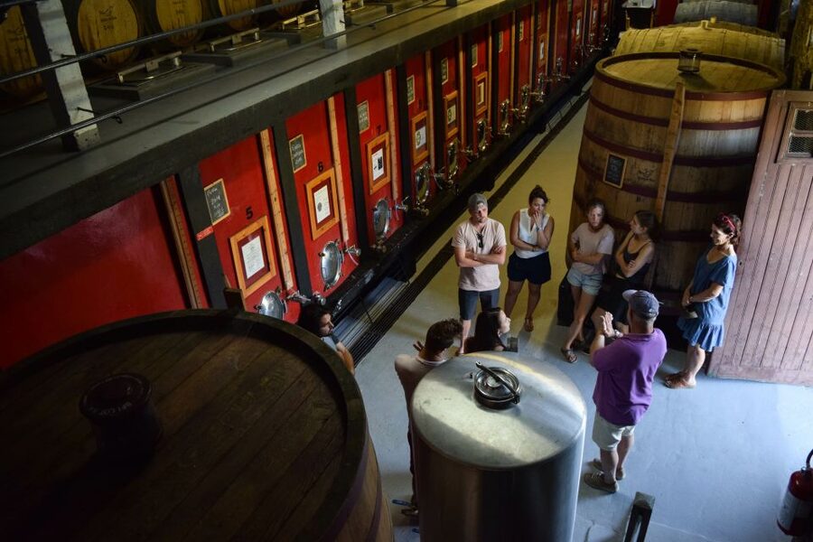 Douro Valley: Winery Tour at Quinta do Tedo and Tastings - Quinta do Tedo: Why This Douro Valley Stop Feels Different