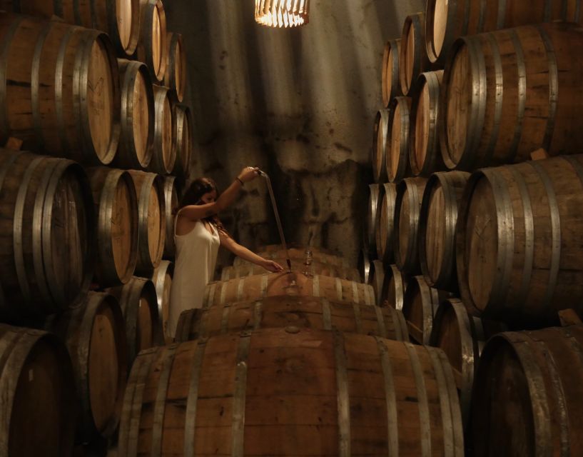 Douro Valley: Winery Tour at Quinta do Tedo and Tastings - Wine Tasting with River Views: What You’ll Sip and Where You’ll Do It