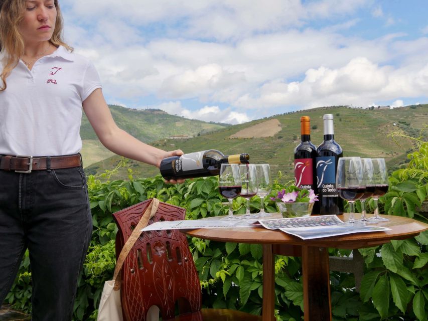Douro Valley: Winery Tour at Quinta do Tedo and Tastings - The Organic Estate Angle: How the Grapes Shape the Value of the Tour