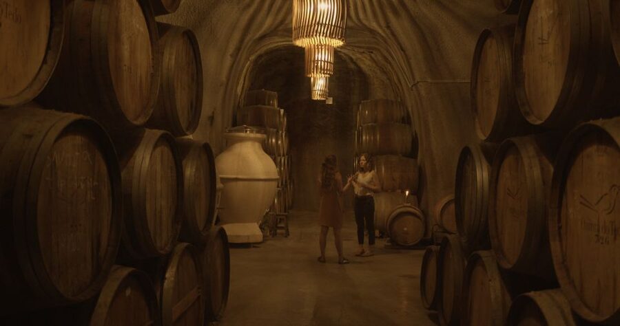 Douro Valley: Winery Tour at Quinta do Tedo and Tastings - Shopping Time: How to Use the 5-Minute Stop Without Overbuying