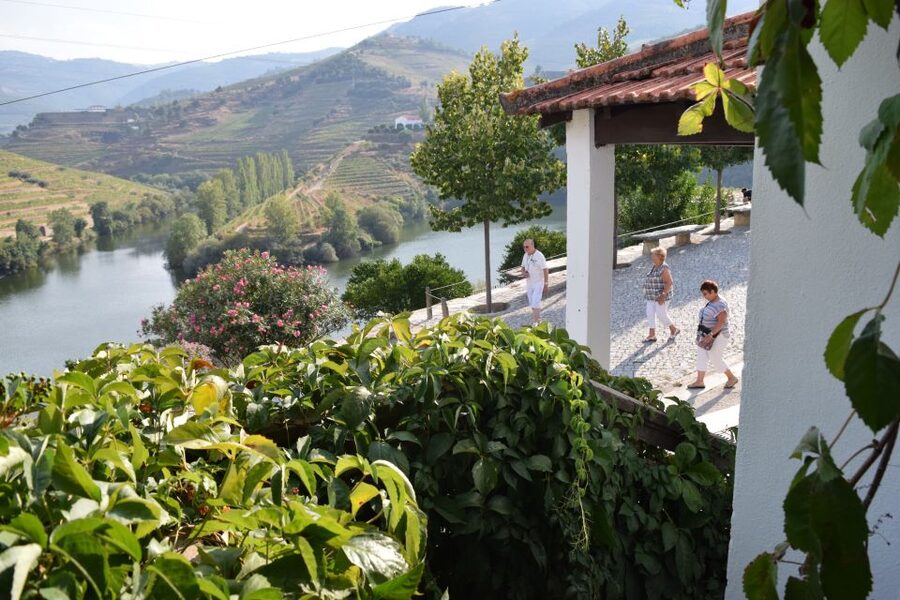 Douro Valley: Winery Tour at Quinta do Tedo and Tastings - Where You’ll Meet: Finding Quinta do Tedo Near Folgosa