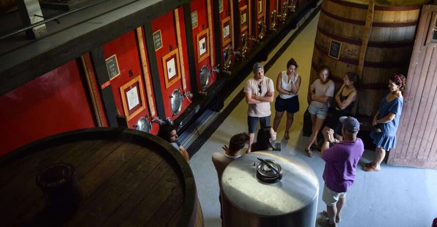 Douro Valley: Winery Tour at Quinta do Tedo and Tastings - The 35-Minute Guided Tour: Vineyards, Olive Orchards, and the How of Wine