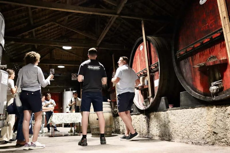 Douro Valley: Winery, Traditional Lunch & Private Boat Trip - Price and logistics: deciding if this is the right Douro day for you