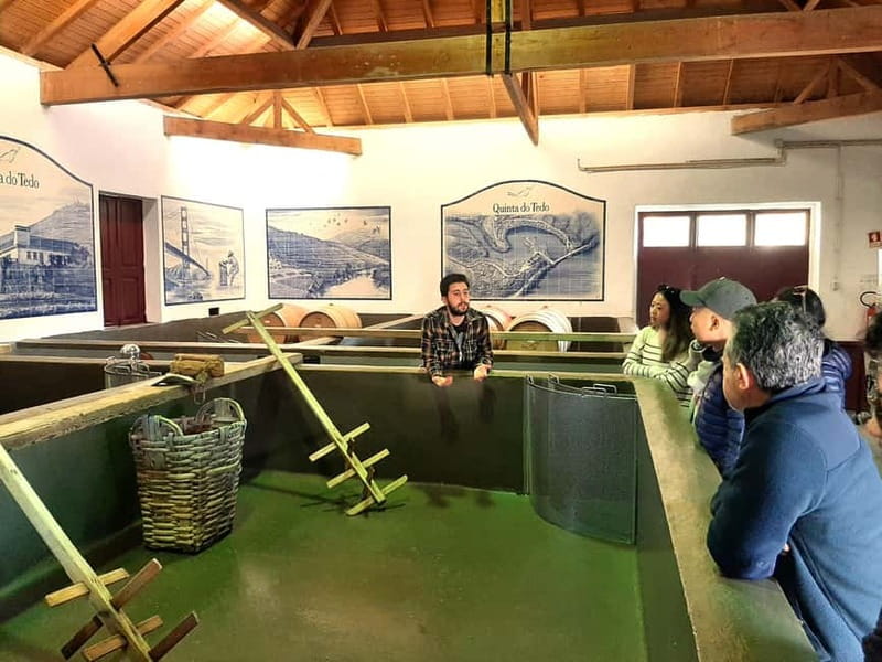 Douro Valley: Winery, Traditional Lunch & Private Boat Trip - Two small producers, 11 wines: the Port and DOC tasting that actually teaches you