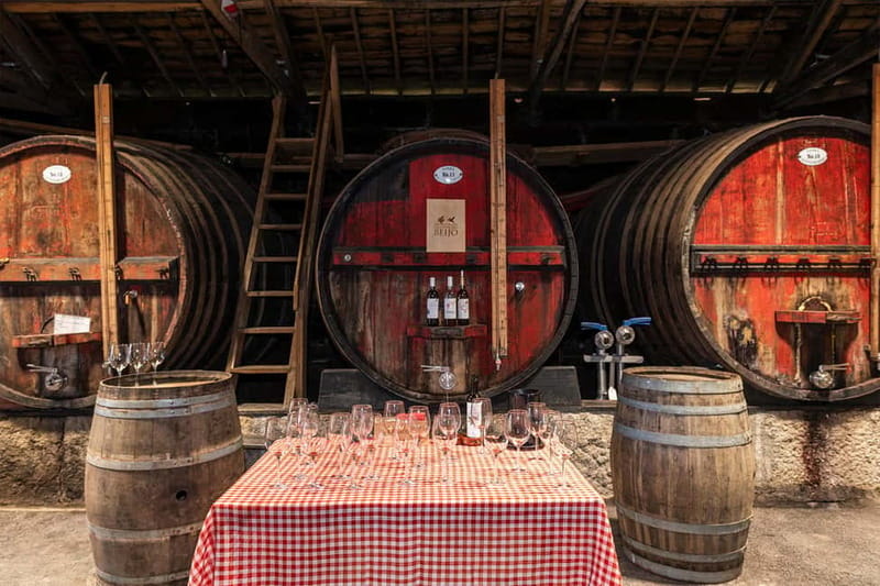 Douro Valley: Winery, Traditional Lunch & Private Boat Trip - Group size, guide style, and pacing: why the day feels smooth