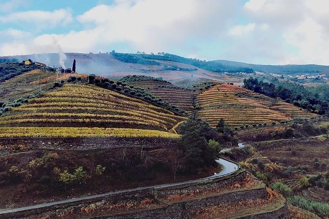 Douro Valley with Two Winery, Boat Trip and Lunch From Porto - Key things I’d circle in the booking