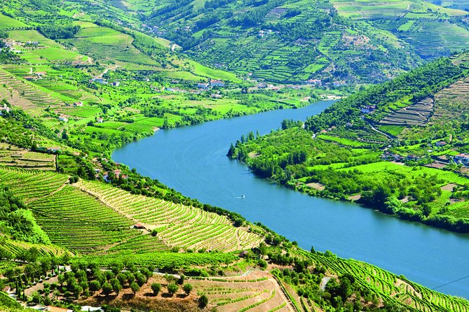 Douro Valley with Two Winery, Boat Trip and Lunch From Porto - Why this Douro Valley day trip feels like a smart use of time