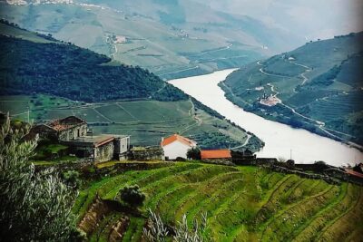 Douro Valley with Two Winery, Boat Trip and Lunch From Porto