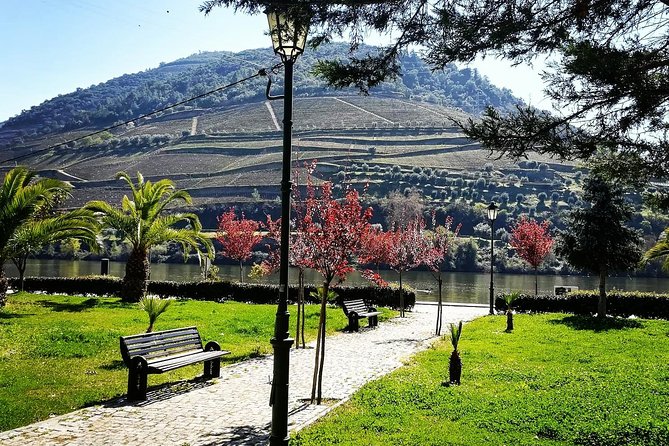 Douro Valley with Two Winery, Boat Trip and Lunch From Porto - Price and value: what $167 buys you in the real world