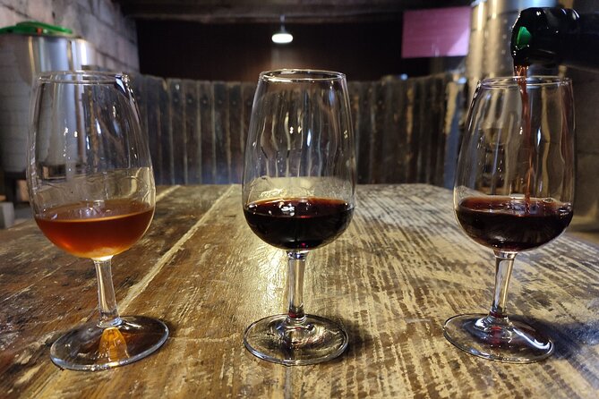 Douro & Vinho Verde: Family Wineries Private Tour in Portugal - A realistic sense of the timing (and how to plan your day)