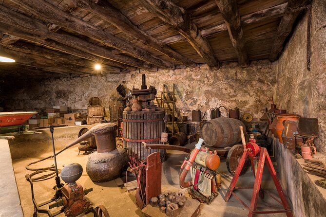 Douro Wine Tasting at a Family Winery in Portugal - What makes the setting worth your time in Barqueiros and Peso da Régua