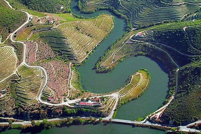 Douro Xperience - Key Highlights You’ll Feel Immediately