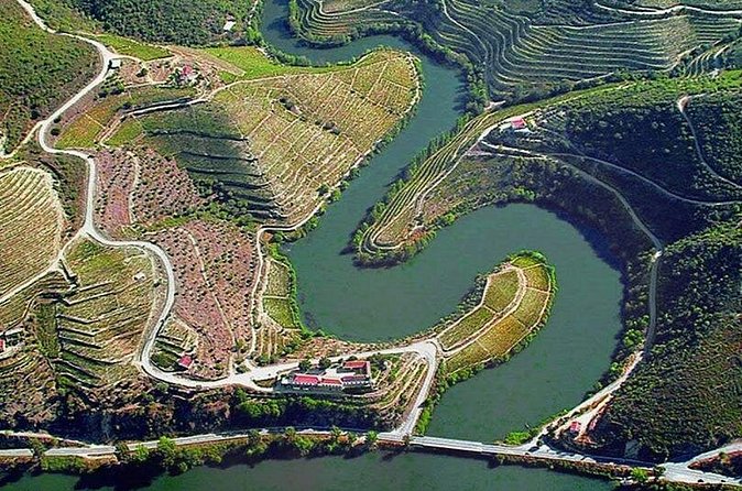 Douro Xperience - The Douro Valley Timing: What the 6-Hour Segment Feels Like
