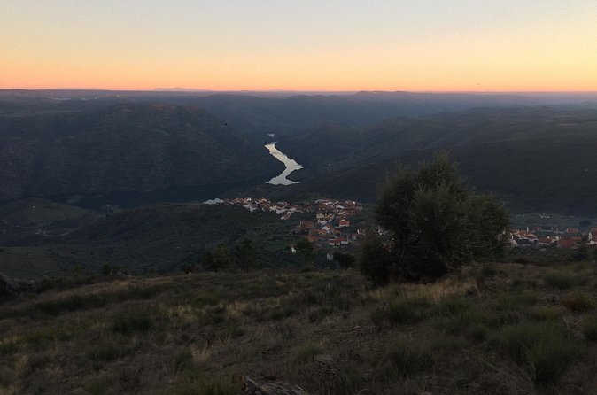 Douro Xperience - Who Should Book This Douro Day Trip (and Who Might Not)