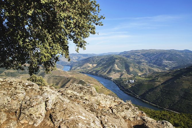 Driver with Private Vehicle in the Douro Valley - Why a private Douro Valley driver feels easier than self-driving