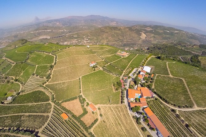 Driver with Private Vehicle in the Douro Valley - Price and logistics, how value works for a small group