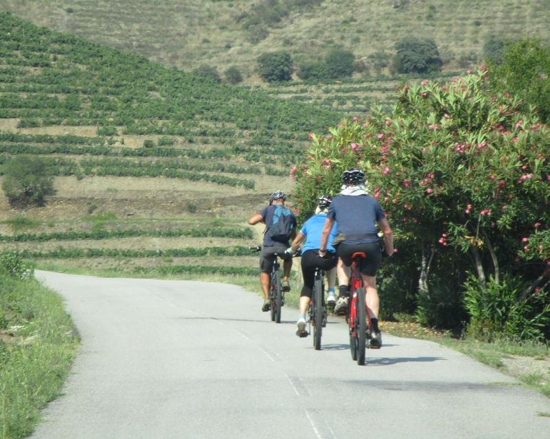 E-MTB - Vineyards Douro Tour - Douro Vineyards on Electric Tires: the vibe of this 2-hour ride