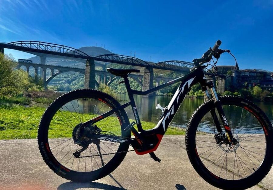 E-MTB - Vineyards Douro Tour - Dirt tracks and winding paths: riding skills you should have