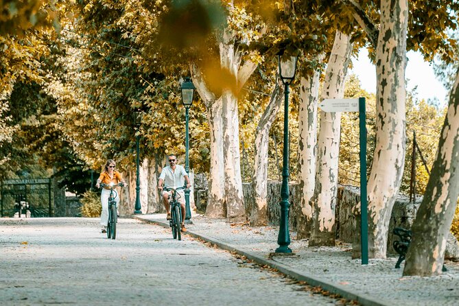 Electric Bike Tour through the Douro Valley - English-Friendly, Private, and Built for Convenience