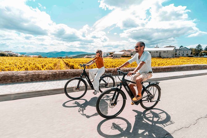 Electric Bike Tour through the Douro Valley - Pinhão Town Stop and the Douro Train Station’s Tile Art