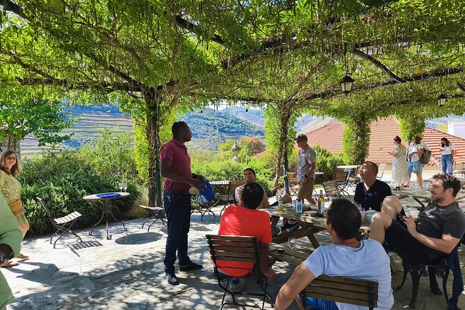 Essence: Full-Day Tour 2 Wineries and Boat Cruise - Your Free Hour in Pinhão: Use It for Lunch and a Quay Stroll
