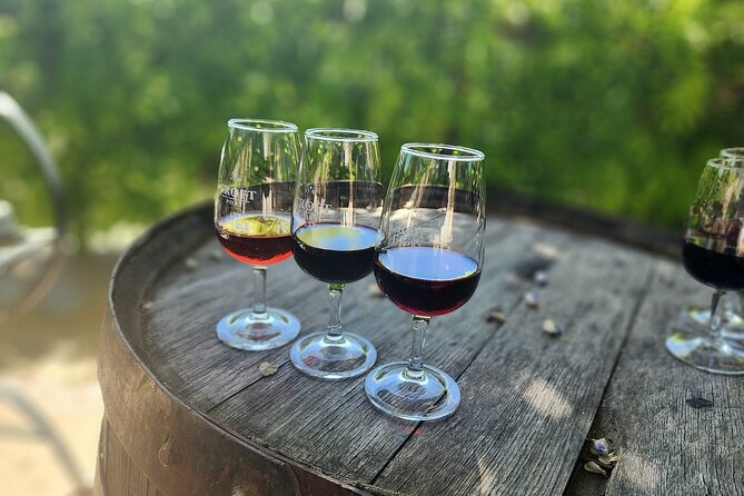 Essence: Full-Day Tour 2 Wineries and Boat Cruise - Casal de Loivos Viewpoint: The Final Payoff