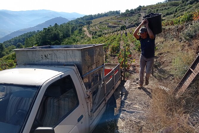 Experience in the Douro: Tua de Rabelo, Quinta, Tasting and Lunch - Getting your bearings in Pinhão: where the day actually starts